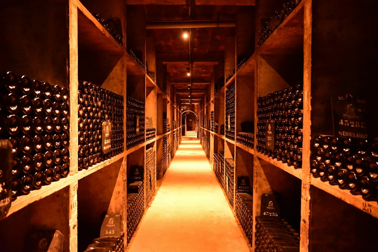 Allée d'une cave à vin bordée de casiers, sous une lumière dorée